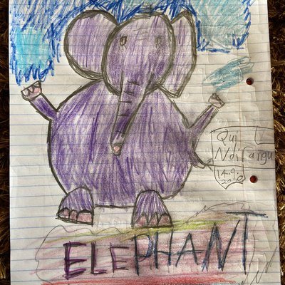 Elephant drawing by Qui.jpg