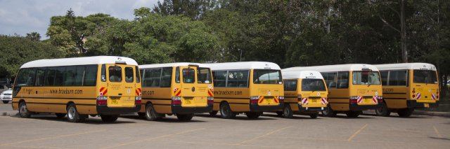 School buses lined up